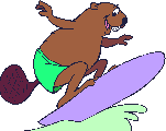 image animée de castor